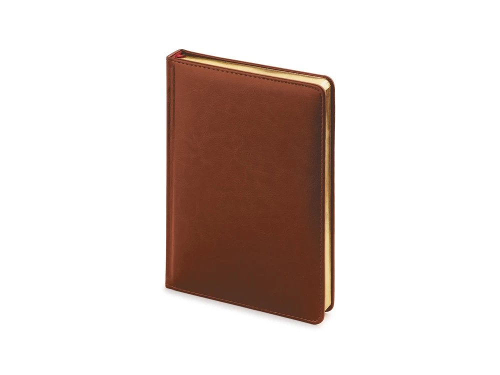 Ежедневник недатированный А5+ «Sidney Nebraska» (03) Ежедневник недатированный А5+ «Sidney Nebraska» (03)